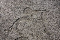 /album/fotogalerij-rock-art/tanum-262-fossum-nummer-10160602620001-in-de-raa-fornsok-database-jpg/